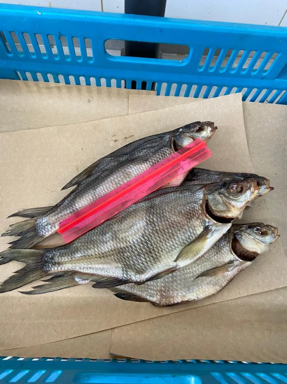 продаем вяленую и копченую рыбу  в Оренбурге 4