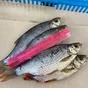 продаем вяленую и копченую рыбу  в Оренбурге 5